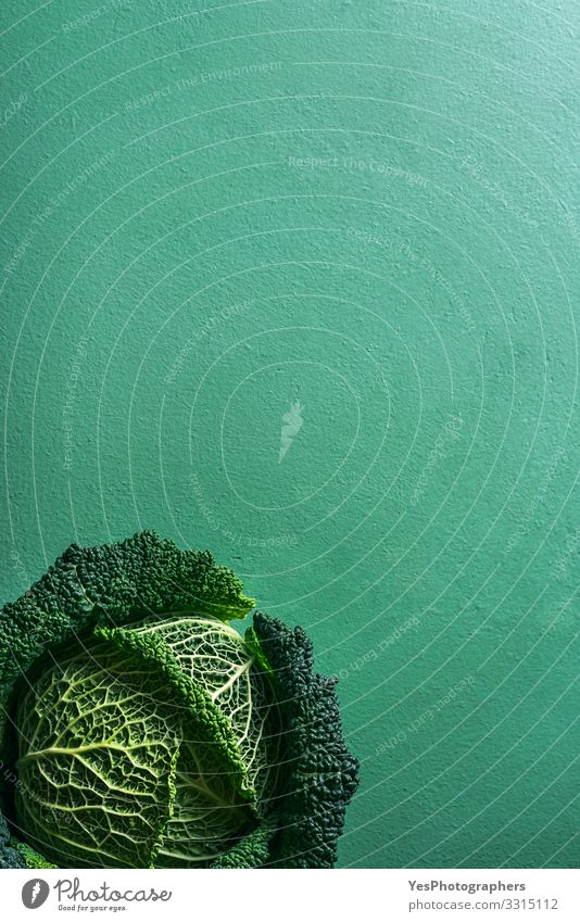 Wirsing frisch geerntet auf einem grünen Tisch. Lebensmittel Gemüse Salat Salatbeilage Ernährung Bioprodukte Vegetarische Ernährung Diät Gesunde Ernährung