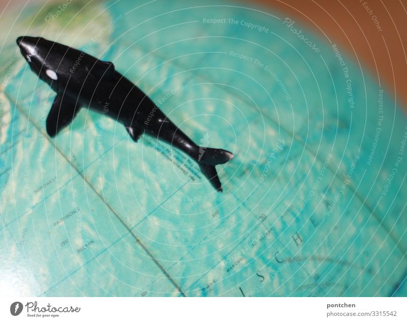 Spielzeug Wal Gummifigur liegt auf Globus. Umweltschutz Tierschutz Klimawandel Fisch Haifisch Tourismus Überleben Umweltverschmutzung leuchten blau Wasser