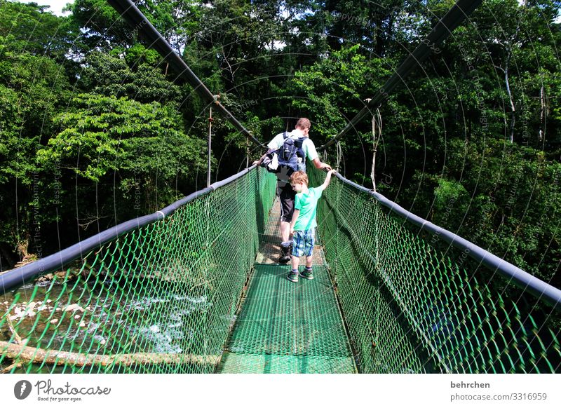 schaun wir mal, was wird | neue wege gehen Licht Hängebrücke Höhenangst Fernweh Mut Costa Rica außergewöhnlich Urwald Wald Kindheit Familie & Verwandtschaft