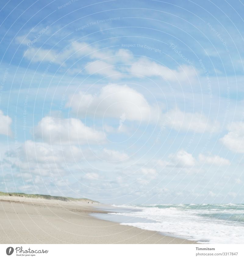 Ein heiterer Tag Ferien & Urlaub & Reisen Umwelt Natur Landschaft Urelemente Sand Luft Wasser Himmel Wolken Schönes Wetter Strand Nordsee Stranddüne Dänemark