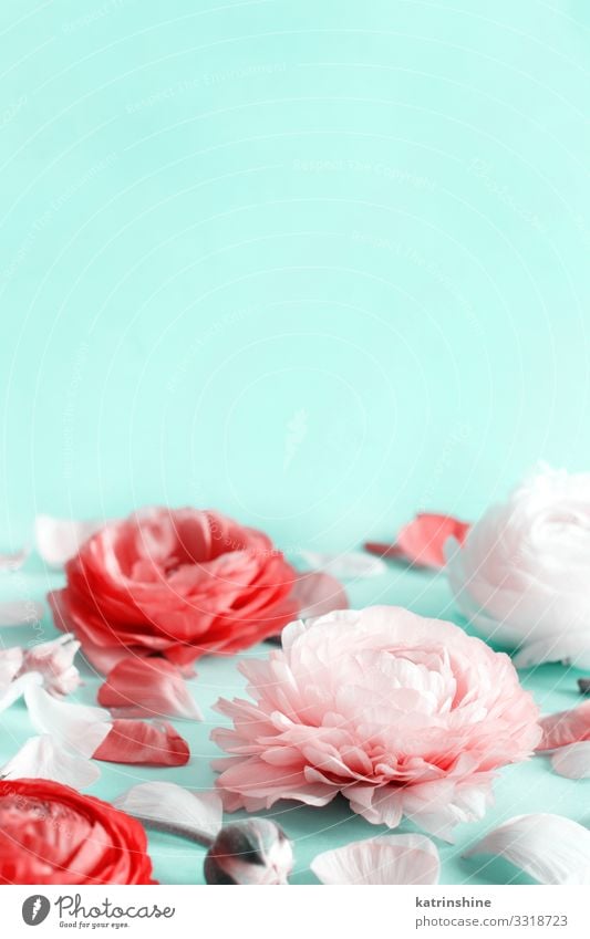 Blumen auf hellgrünem Hintergrund Design Dekoration & Verzierung Hochzeit Frau Erwachsene Mutter Rose rosa Kreativität romantisch zartes Grün hellrosa