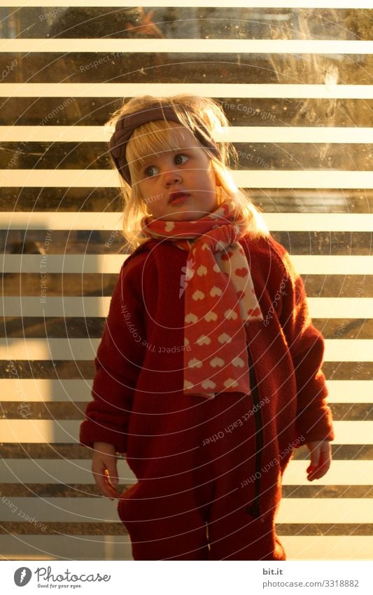 Model stehen. Mensch feminin Kind Kleinkind Mädchen Kindheit 1-3 Jahre beobachten Blick leuchten Stimmung Freude Zufriedenheit Coolness Schal Stirnband