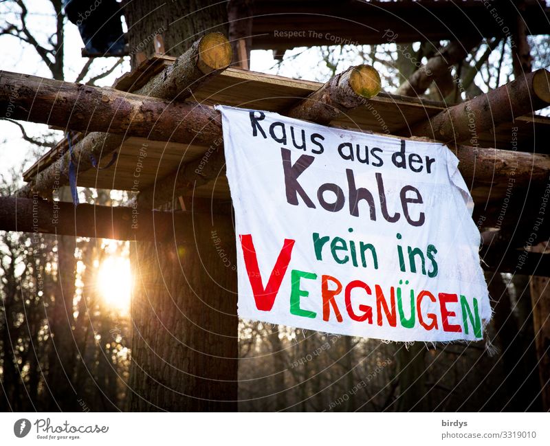 Beste Grüße nach Davos Sonne Winter Klimawandel Schönes Wetter Baum Wald Hambacher Forst Baumhaus Transparente Holz Schriftzeichen glänzend Kommunizieren