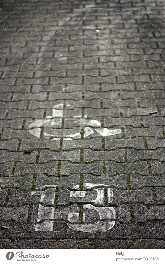 Rollstuhl und Zahl 13 auf Pflastersteinen Parkplatz Spuren Stein Zeichen Ziffern & Zahlen Kommunizieren einfach einzigartig grau weiß Sicherheit Menschlichkeit