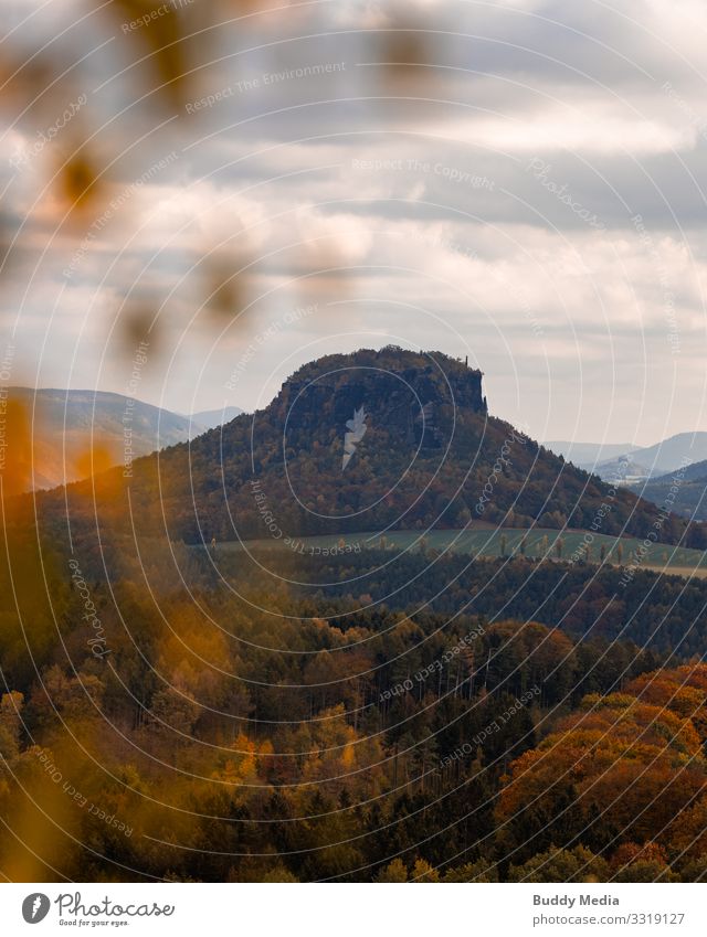 Kleiner Bärenstein, Sächsische Schweiz, Lohmen Natur Landschaft Himmel Wolken Wetter Schönes Wetter Baum Hügel Felsen Berge u. Gebirge Tafelberg Deutschland