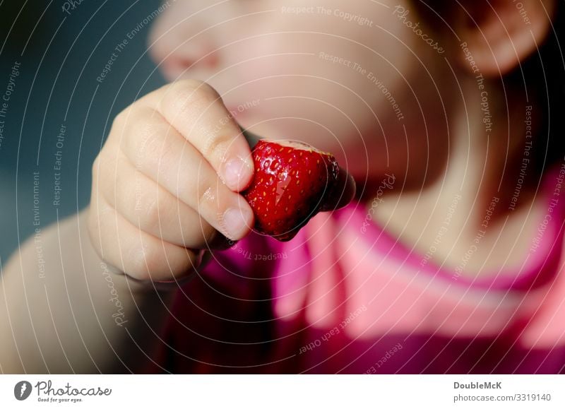 Kind hält Erdbeere in der Hand Lebensmittel Frucht Erdbeeren Mensch Mädchen Junge Finger 1 1-3 Jahre Kleinkind berühren festhalten frisch Gesundheit lecker rosa