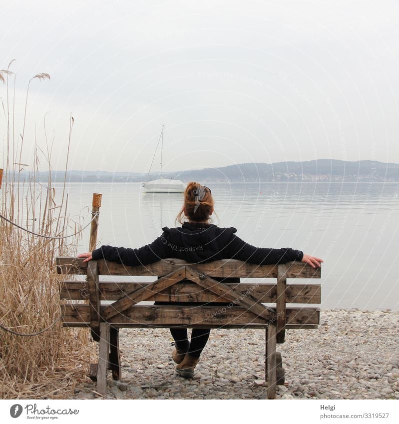 Rückansicht einer Frau, die auf einer Holzbank sitzt und auf einen See blickt Mensch feminin Erwachsene 1 45-60 Jahre Umwelt Natur Landschaft Pflanze Wasser