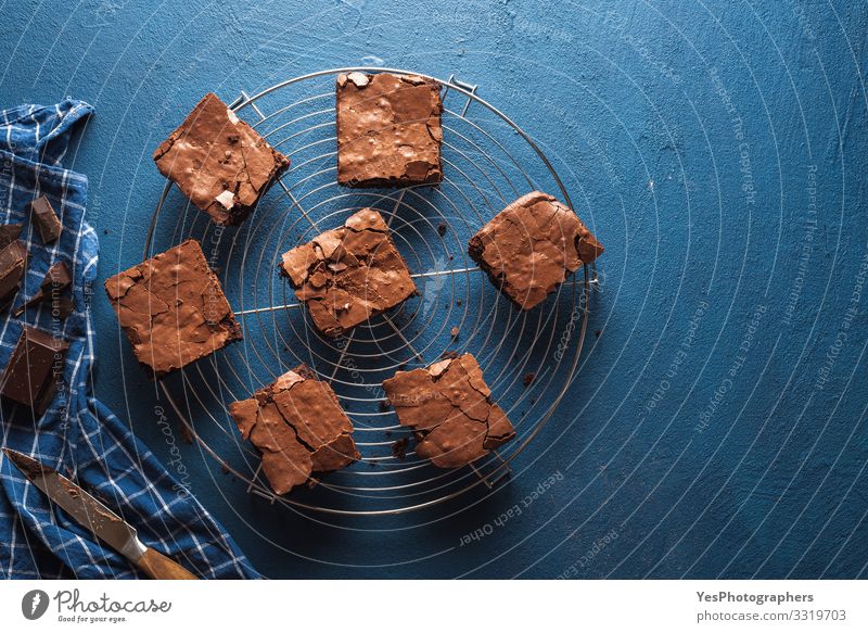 Brownies-Kuchenquadrate auf einem Kühlgestell. Schoko-Fudge-Brownies Dessert Süßwaren Schokolade lecker süß blau braun obere Ansicht amerikanischer Nachtisch