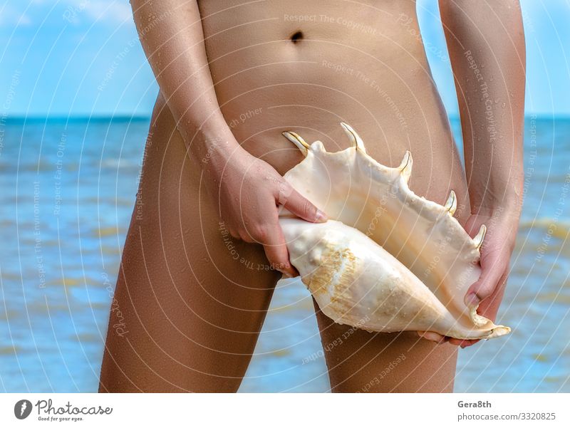 weiblicher Körper mit einer großen Muschel gegen das blaue Meer Haut Sommer Strand Wellen Geldinstitut Frau Erwachsene Hand Finger Himmel Küste Souvenir fangen