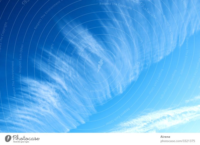 Wettervorhersage | Geschriebenes Urelemente nur Himmel Wolken Schönes Wetter hell blau weiß Freundlichkeit Sonne Streifen Zeile Muster vorhersagen Bedeutung