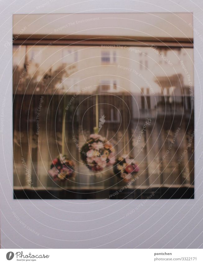 Polaroid-Blick von außen durchs Fenster. Altmodische Vorhänge und Blumenschmuck Haus alt Reflexion & Spiegelung altmodisch Dekoration & Verzierung Kranz Gesteck