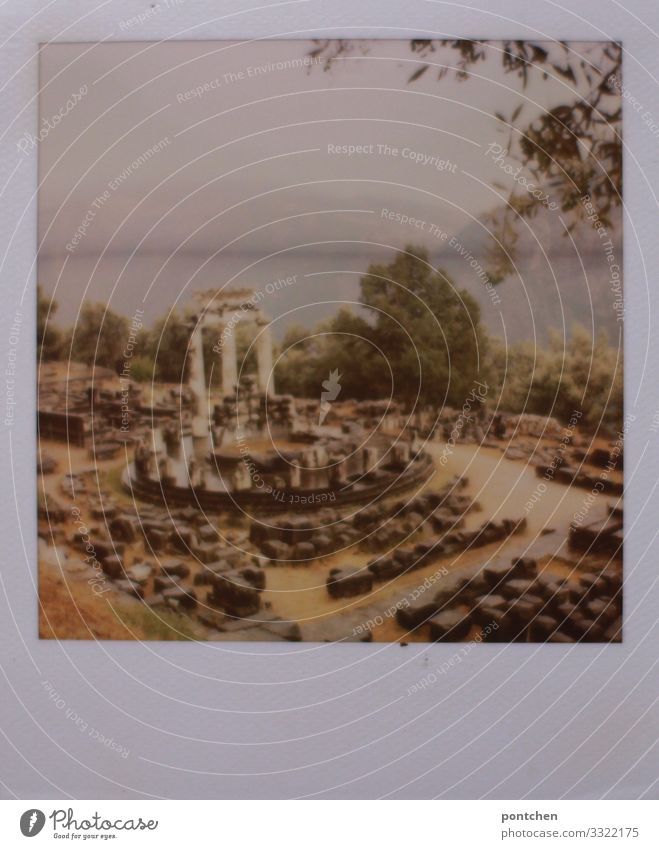 Polaroidfoto Ruine von Delphi Ferien & Urlaub & Reisen Tourismus Ausflug Sightseeing alt Bekanntheit antik Griechenland Antike Ausgrabungen Zeuss Legende