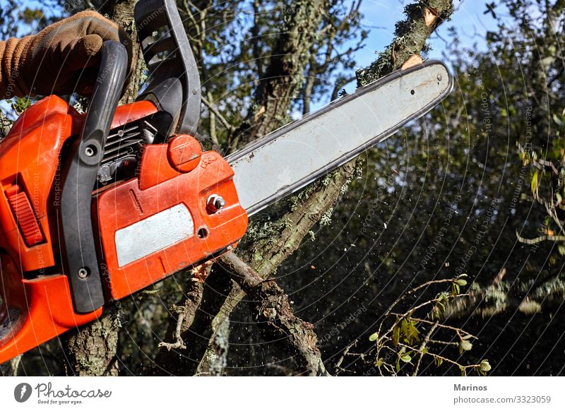 Mann, der im Wald mit einer elektrischen Kettensäge Bäume fällte. Arbeit & Erwerbstätigkeit Industrie Werkzeug Säge Technik & Technologie Erwachsene Hand Natur