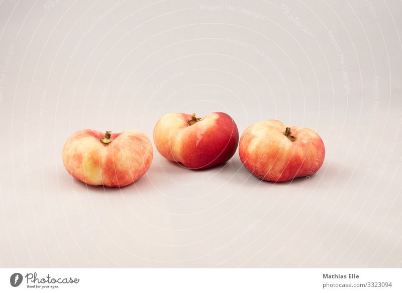 3 Pfirsiche auf grauem Hintergrund Lebensmittel Frucht Ernährung Picknick Bioprodukte Vegetarische Ernährung exotisch Gesunde Ernährung orange rot Nektarine