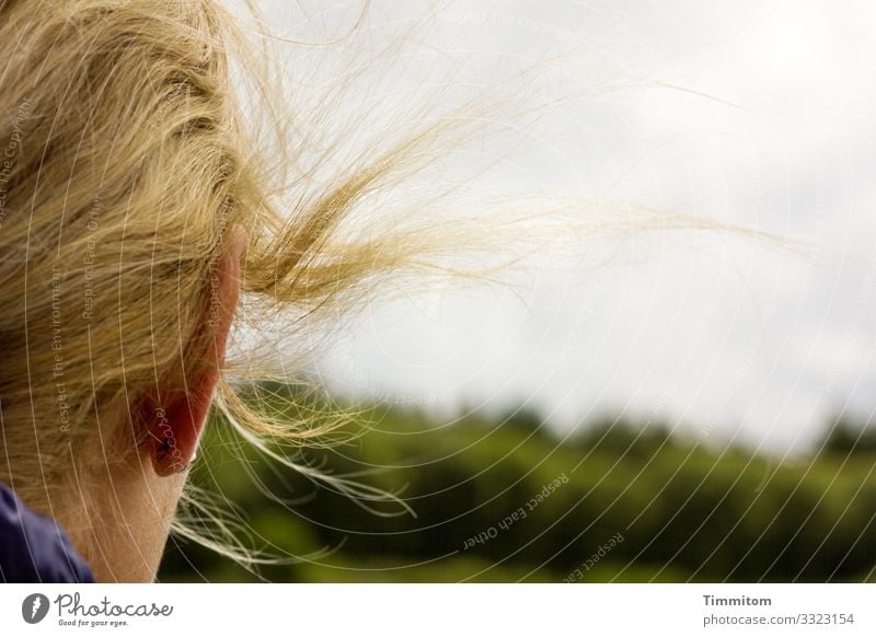 Schauen wie sie schaut (1) Kopf Frau Haare & Frisuren Wind Himmel Wolken Landschaft ins Grüne Außenaufnahme Farbfoto blond Ohr schauen Mensch