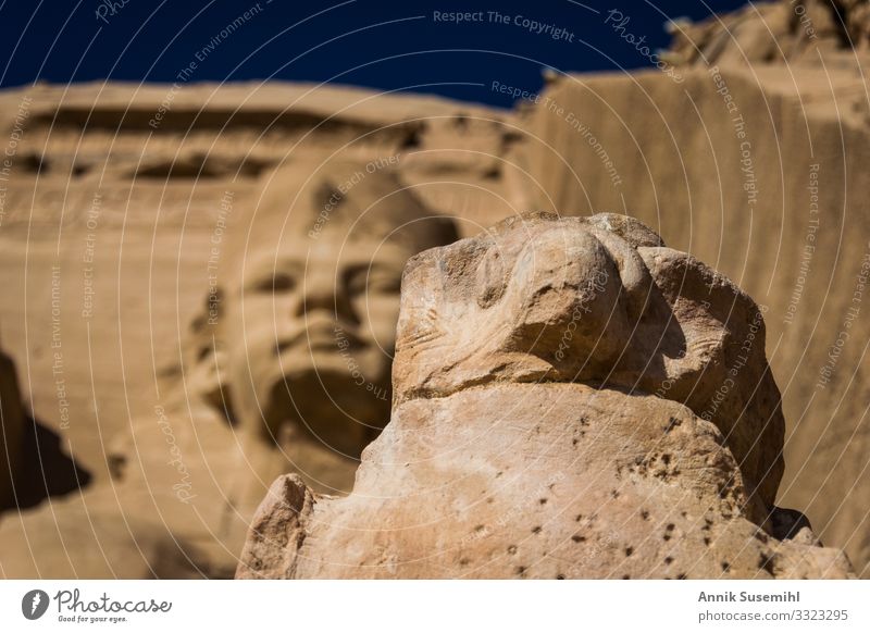 Statue des Horus vor dem Tempel von Abu Simbel, Ägypten Kunst Kunstwerk Skulptur Architektur Kultur Schönes Wetter Wüste Sehenswürdigkeit Vogel Stein Sand