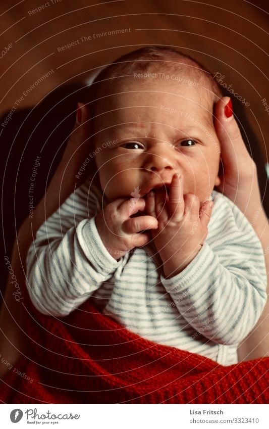 NEUGEBORENES - MITTELFINGER ZEIGEN - HÄNDE im Mund Gesundheitswesen Kindererziehung Kindergarten Baby Kindheit 1 Mensch 0-12 Monate beobachten berühren