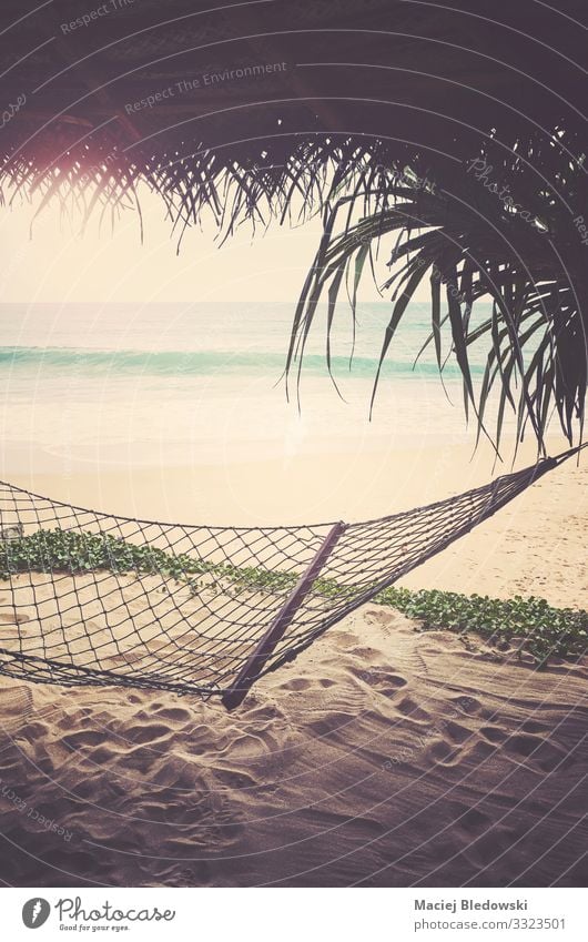Tropischer Strand mit Hängematte, mit Retro-Farbtonung. exotisch Erholung Ferien & Urlaub & Reisen Tourismus Freiheit Sommer Sommerurlaub Sonne Sonnenbad Meer