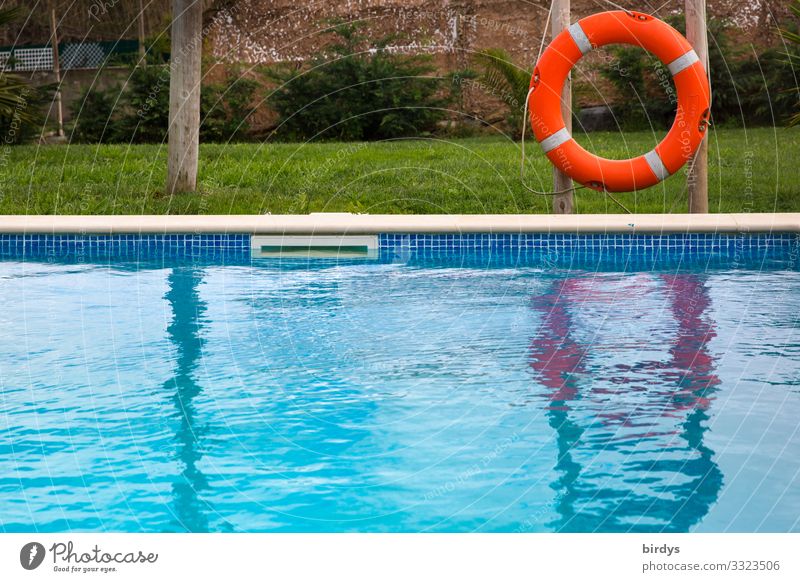 Pool Lifestyle Reichtum Wellness Schwimmbad Schwimmen & Baden Freizeit & Hobby Wasser Wiese Rettungsring Erholung authentisch positiv blau grün rot Freude