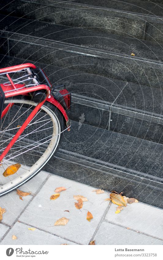 rotes Fahrrad Stadt fahren sparsam nachhaltig Treppe Herbst Blatt gelb Jahreszeiten schwarz parken Bewegung Verkehr Stadtleben Straße Bürgersteig Natur