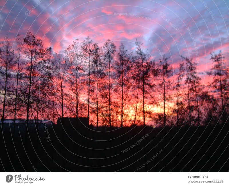 sonnenuntergang Naturphänomene Röte Sonnenuntergang Baum Wolken Himmel Abend Abenddämmerung Himmelszelt Firmament