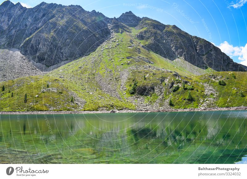 Berg und See (Österreich) Ferien & Urlaub & Reisen Tourismus Ausflug Freiheit Sommer Sommerurlaub Berge u. Gebirge wandern Umwelt Natur Landschaft Pflanze
