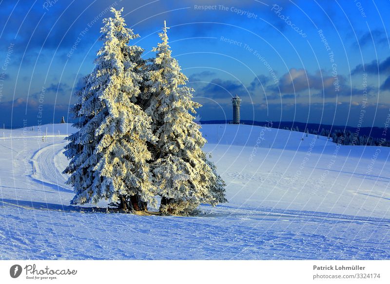 Schneebäume Ferien & Urlaub & Reisen Tourismus Ausflug Winterurlaub Berge u. Gebirge wandern Umwelt Natur Landschaft Himmel Klima Klimawandel Schönes Wetter Eis