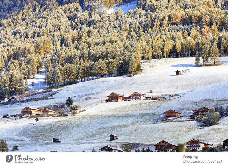 Fischleinbachtal Tourismus Ausflug Winter wandern Natur Landschaft Pflanze Herbst Baum Moos Blatt Wald Sehenswürdigkeit kalt Ausflugsziel Botanik Dolomiten