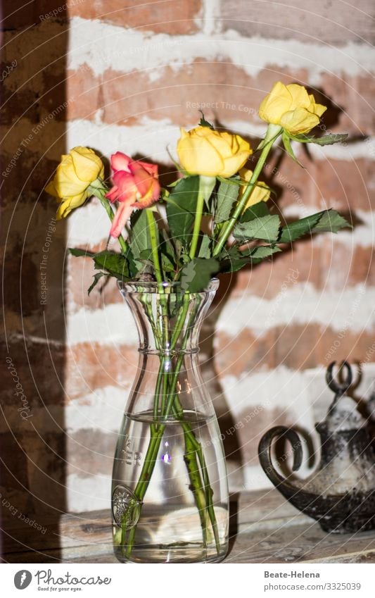 Edler Blickpunkt 1 Rosen Vase Zierde edel Dekoration & Verzierung Blumenstrauß Innenaufnahme