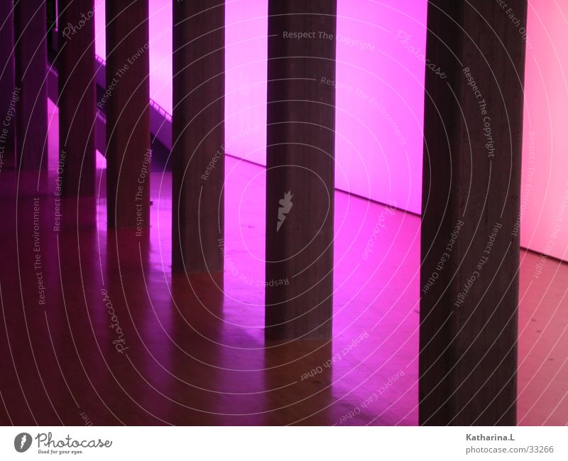 Lila Halle Licht Beton violett Architektur Farbe Säule Lagerhalle Kontrast Perspective Menschenleer Raum