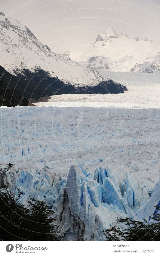 Argentinische | Eiszeit Umwelt Natur Landschaft Sonnenlicht Frost Schnee Felsen Berge u. Gebirge Gipfel Schneebedeckte Gipfel Gletscher kalt Eisberg