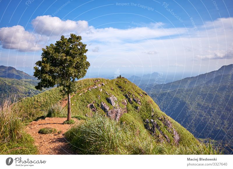 Little Adams Peak an einem sonnigen Tag, Sri Lanka. Ferien & Urlaub & Reisen Tourismus Ausflug Abenteuer Expedition Sommerurlaub Berge u. Gebirge wandern Natur