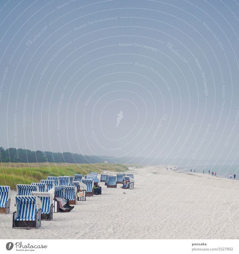 nachbarschaften | zu mir oder zu dir? Ostsee Darß Sand Nachbarschaften Feriensbekanntschaft Sommer Strand Badeurlaub Wasser Strandkorb Ferien & Urlaub & Reisen