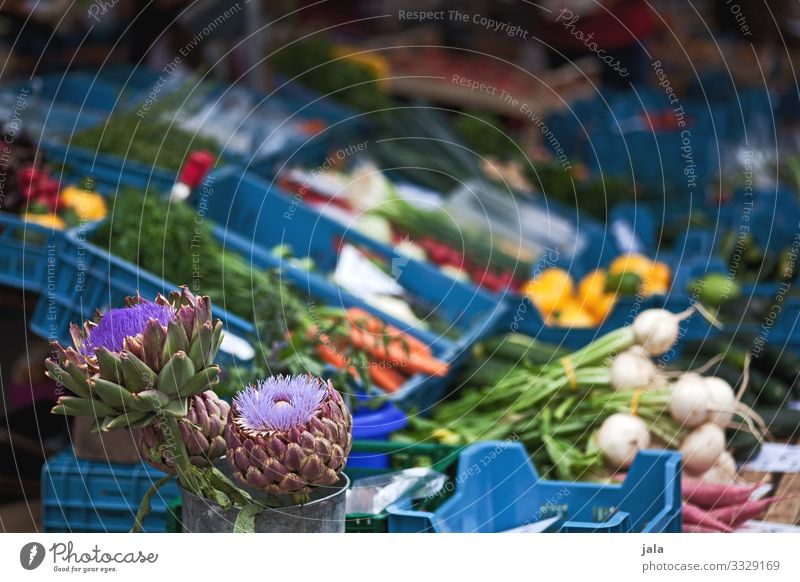 markt Lebensmittel Gemüse Salat Salatbeilage Frucht Kräuter & Gewürze Bioprodukte Vegetarische Ernährung kaufen Pflanze Blume authentisch frisch Gesundheit gut