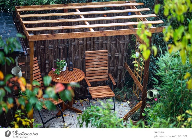 Blick auf Sitzplatz unter Pergola aus Holz im Garten sitzplatz Haus Stuhl Terrasse Tisch Sitzgelegenheit Sommer Gartenstuhl Herbst Regen Pflanze Sträucher