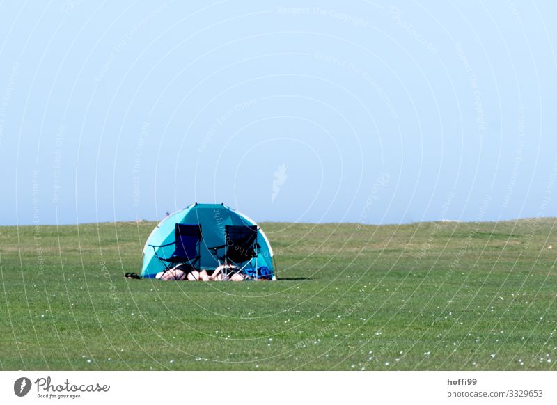 Sonnenbad auf grüner Wiese mit Klappstuhl und Windmuschel Strand Mensch 2 Landschaft Wolkenloser Himmel Sommer Schönes Wetter Gras Rasen Seeufer Nordsee Zelt