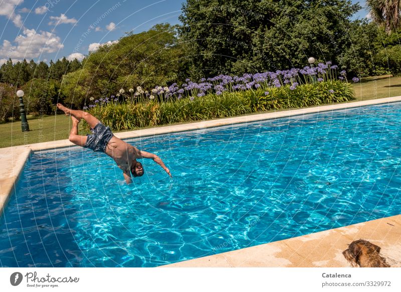 Kopfsprung ins kalte Nass Sommer Sonne Schwimmen Schwimmen & Baden Wasser Erholung Ferien & Urlaub & Reisen Freude baden Schwimmbad Erfrischung nass Pool Wiese