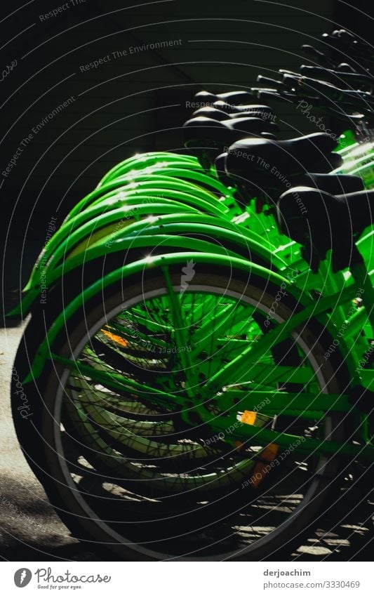 Fahrräder  alle in grün. Man sieht nur die Hinterräder bezw. die Sättel. Design Leben Fitness Sport-Training Fahrradfahren Umwelt Sommer Schönes Wetter