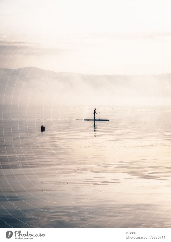 Aufstehen Paddeln Stand Up Paddelboarden aufstehen Zürich See Winter Außenaufnahme Wasser Tag Reflexion & Spiegelung Natur 1 Nebelstimmung schönes Wetter