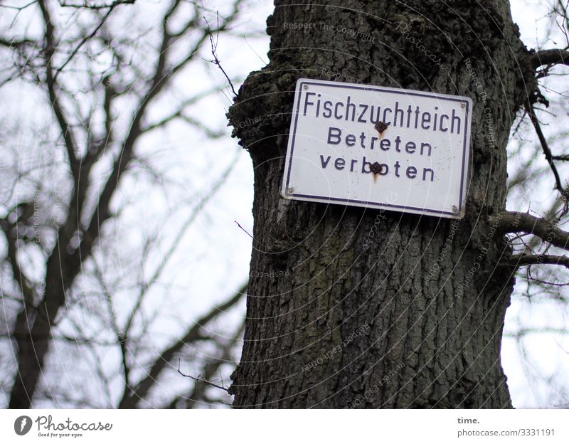 angeln und baden okay | Geschriebenes Baum Wald Schriftzeichen Schilder & Markierungen Hinweisschild Warnschild dunkel verrückt Wachsamkeit Ausdauer