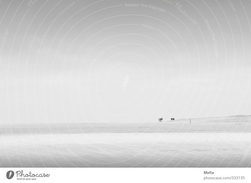 Rømø | weit Umwelt Natur Landschaft Sand Luft Himmel Küste Strand Nordsee gehen stehen frei Unendlichkeit natürlich grau Freiheit ruhig Ferne weitläufig Ebene