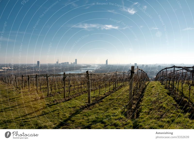 Blick auf Wien Umwelt Natur Landschaft Pflanze Luft Himmel Wolken Horizont Herbst Wetter Schönes Wetter Sträucher Nutzpflanze Wein Wiese Hügel Fluss Donau