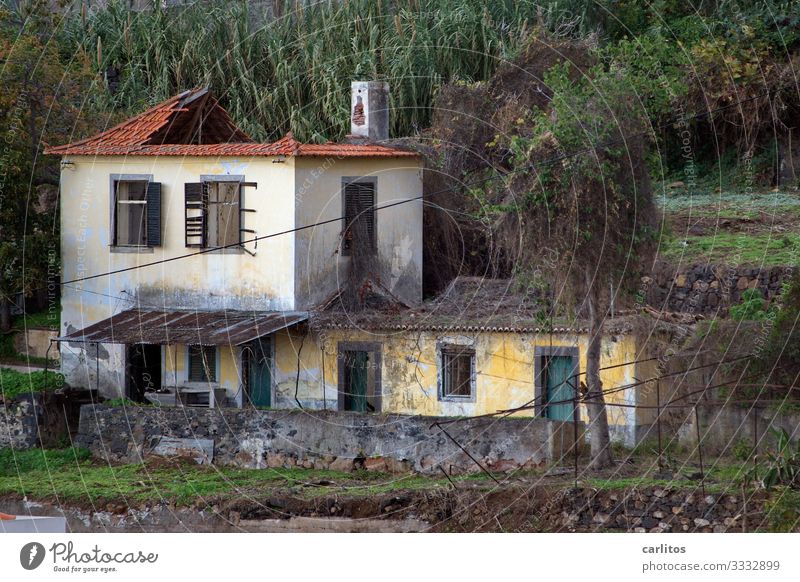 Der Zahn der Zeit Portugal Madeira Funchal Haus alt verfallen Renovieren Modernisierung vergangen Verfall Ruine Landhaus Villa Spekulationsobjekt Fassade
