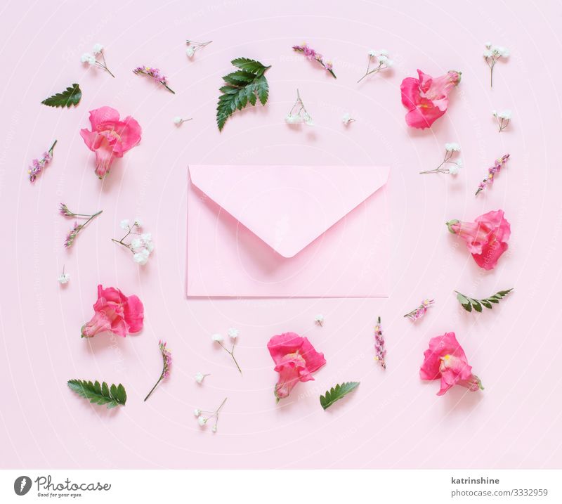 Blumen und rosafarbener Umschlag auf hellrosaem Hintergrund Design Dekoration & Verzierung Hochzeit Frau Erwachsene Mutter oben Kreativität Kuvert