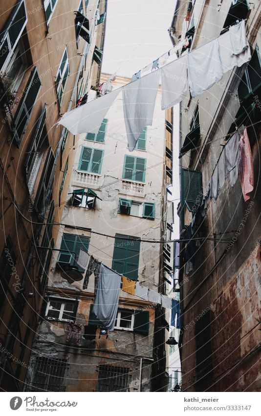 Waschtag II Genua Italien Italienisch hängen sparen Häusliches Leben nachhaltig Wäscheleine Wäsche waschen Fenster Fensterladen Gebäude Fassade Fluchtlinie