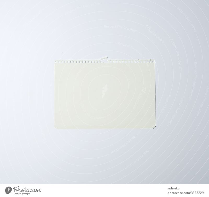 weißes Blatt Papier Design Büro Business schreiben Sauberkeit Farbe Plan Beitrag erinnern Erinnerung Schot Zeichen Single Hintergrund Transparente blanko Karton