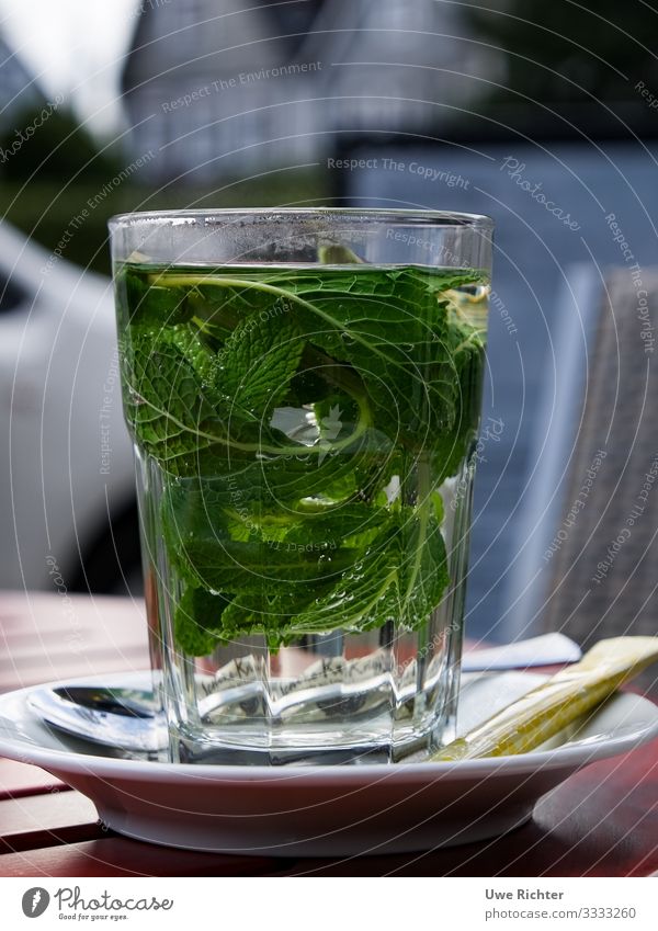 Frische Pfefferminze im Glas Lebensmittel Ernährung Bioprodukte Vegetarische Ernährung Getränk Heißgetränk Tee Stil Gesundheitswesen Minze Minzeblatt