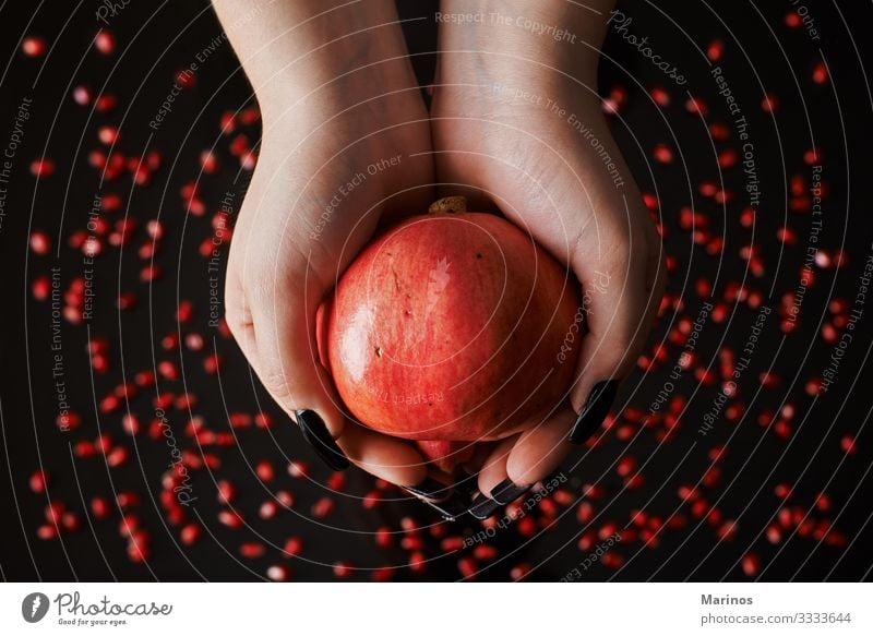 Hände, die einen Granatapfel halten. Frucht Dessert Vegetarische Ernährung Diät Saft Garten frisch natürlich saftig rot schwarz Farbe Gesundheit Vitamin