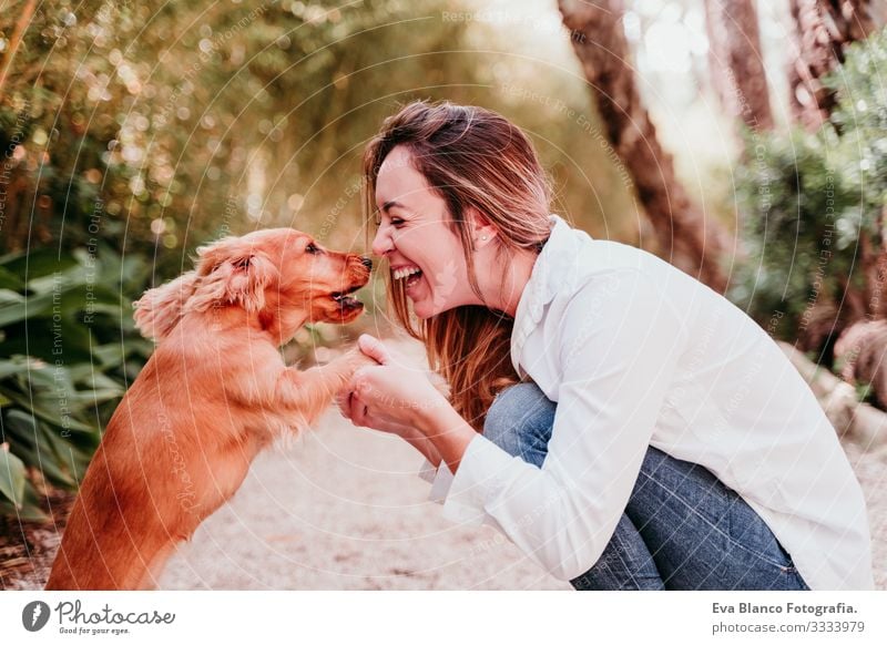 junge Frau und ihr niedlicher Cockerspaniel-Welpe im Freien in einem Park Hund Haustier Sonnenstrahlen Außenaufnahme Liebe Umarmen Lächeln Küssen züchten