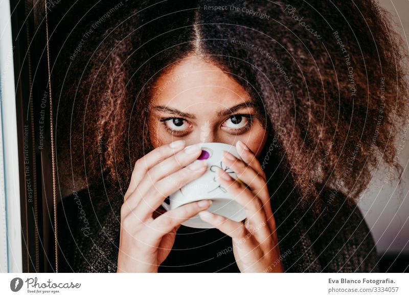 Porträt einer schönen afroamerikanischen jungen Frau am Fenster, die Tee oder Kaffee trinkt. Lebensstil im Haus Afroamerikaner heimwärts urwüchsig